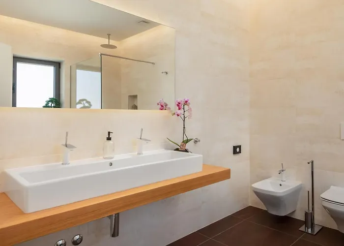 Old Olive Viii Vodnjan